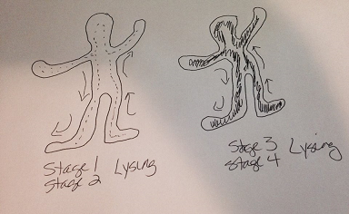 Lysing 101 / Drawing by Kat Turner